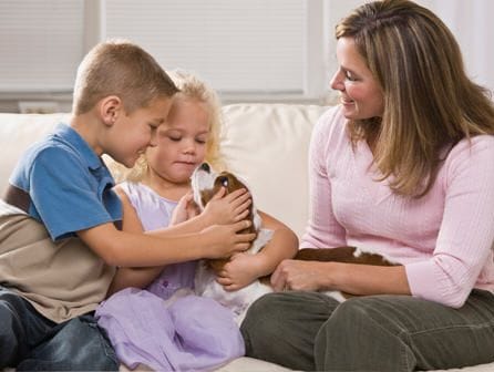 Seminario de Convivencia entre niños, perros y gatos en ISED Bilbao	