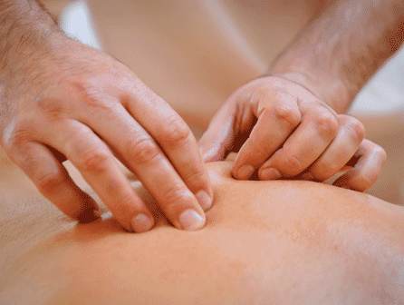 Curso de Anatomía Palpatoria y Biomecánica