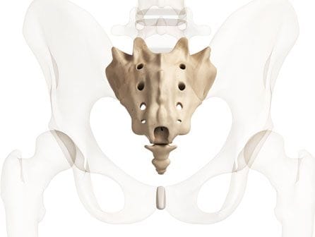curso de osteopatía