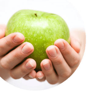Bromatología. Alimentos y nutrición