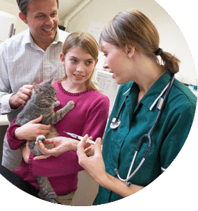 Ayudante técnico veterinario avanzado