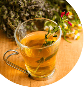 Fitoterapia y aromaterapia