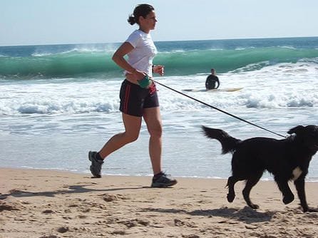 jogging dog