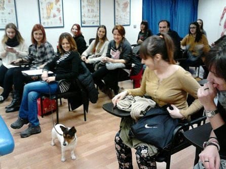 seminario primeros auxilios para mascotas