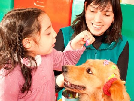 Técnico en intervención asistida con animales 