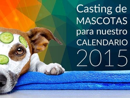 calendario de mascotas