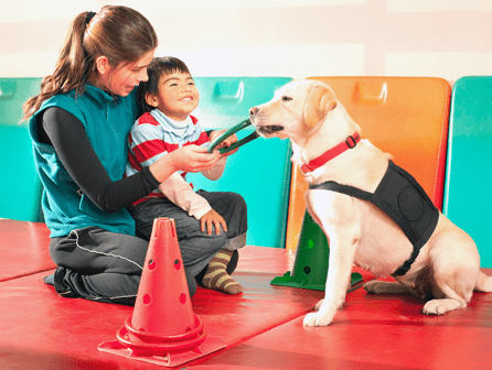 Curso de Técnico en intervención asistida con animales