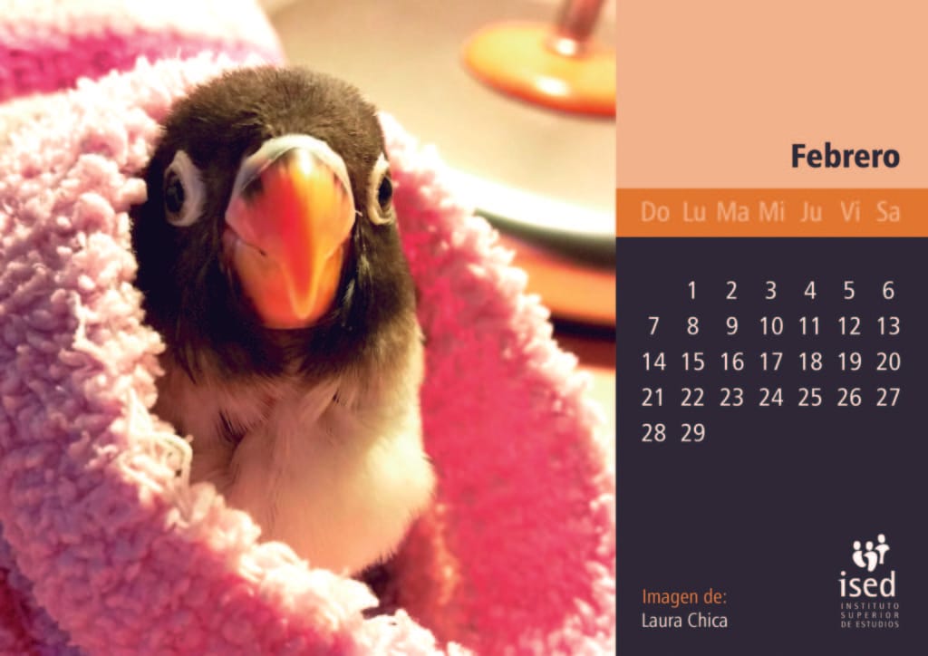 febrero-calendario-mascotas