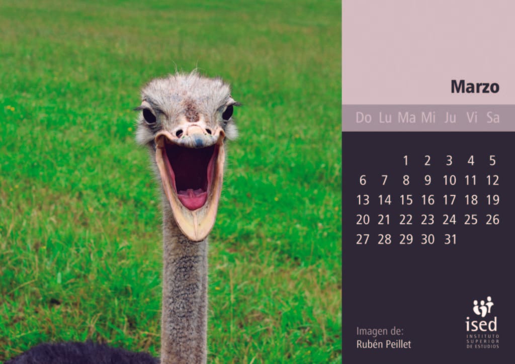 marzo-calendario-mascotas