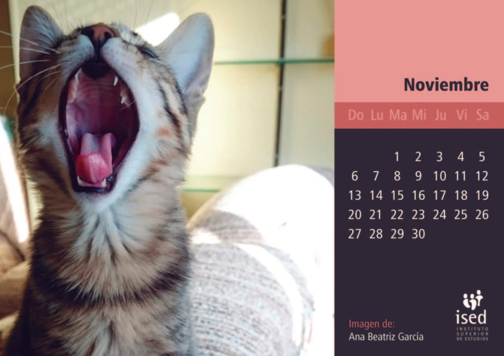 noviembre-calendario-mascotas