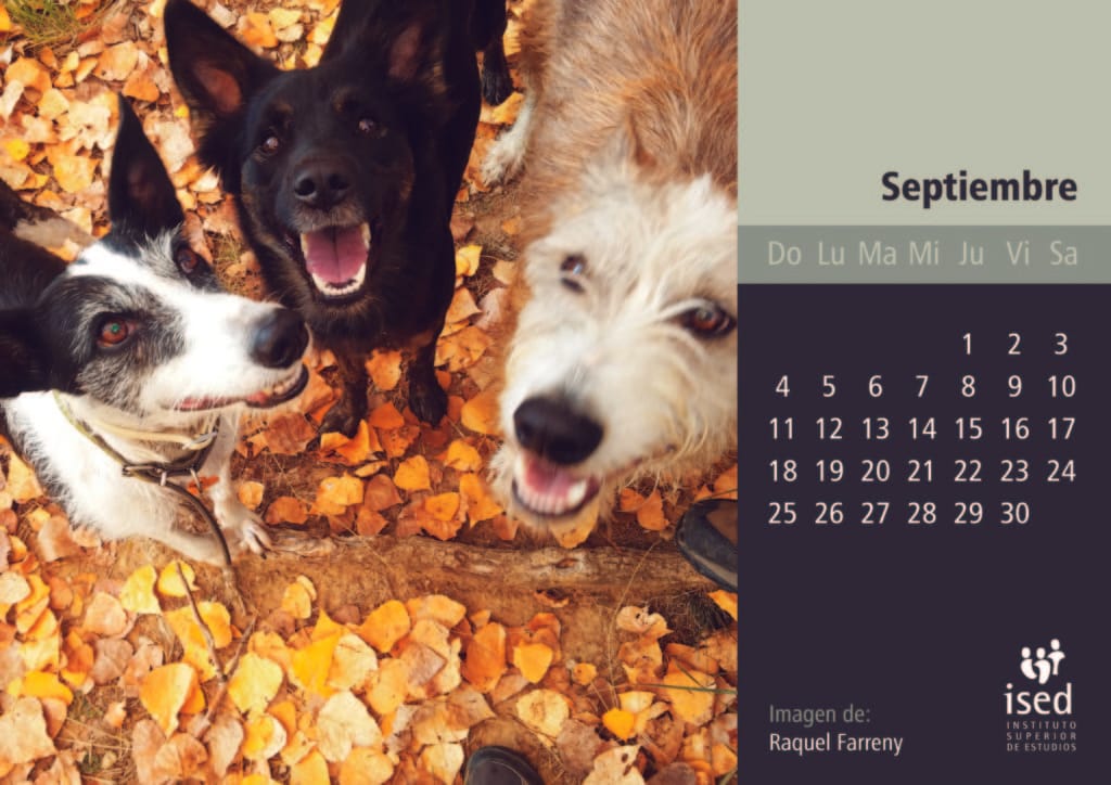 septiembre-calendario-mascotas