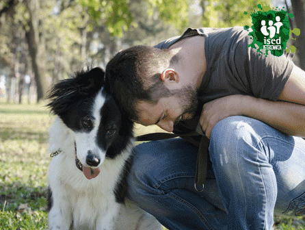 curso de educador canino