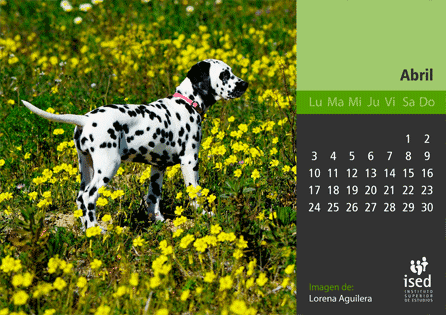 curso de veterinaria - calendario ised