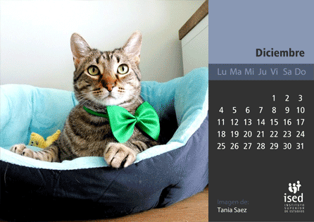 curso de veterinaria - calendario ised 2017