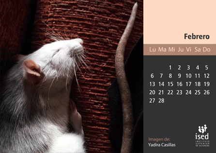 curso de veterinaria - calendario 2017
