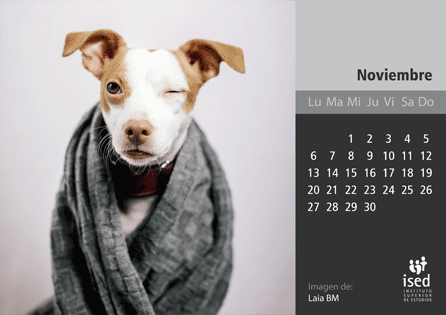 curso de veterinaria - calendario ised 2017