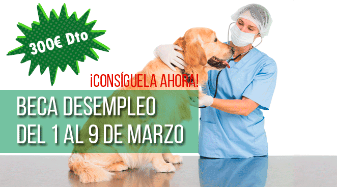 curso auxiliar veterinaria ised