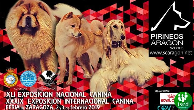 ised-zaragoza-exposicion-internacional-canina