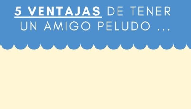 5-ventajas-tener-amigo-peludo