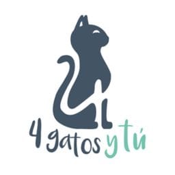 4 Gatos y Tú