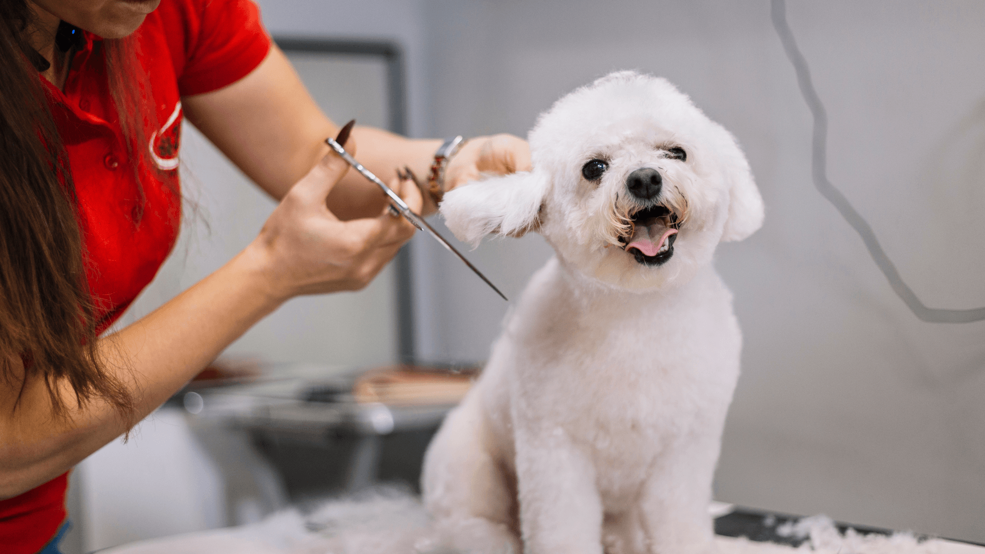 PLANTILLA IMAGEN DESTACADA CURSOS (12)