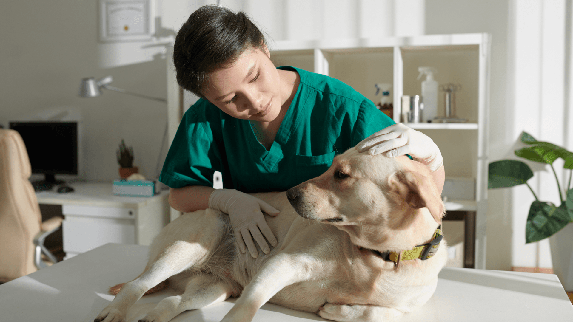 PLANTILLA IMAGEN DESTACADA CURSOS (13)