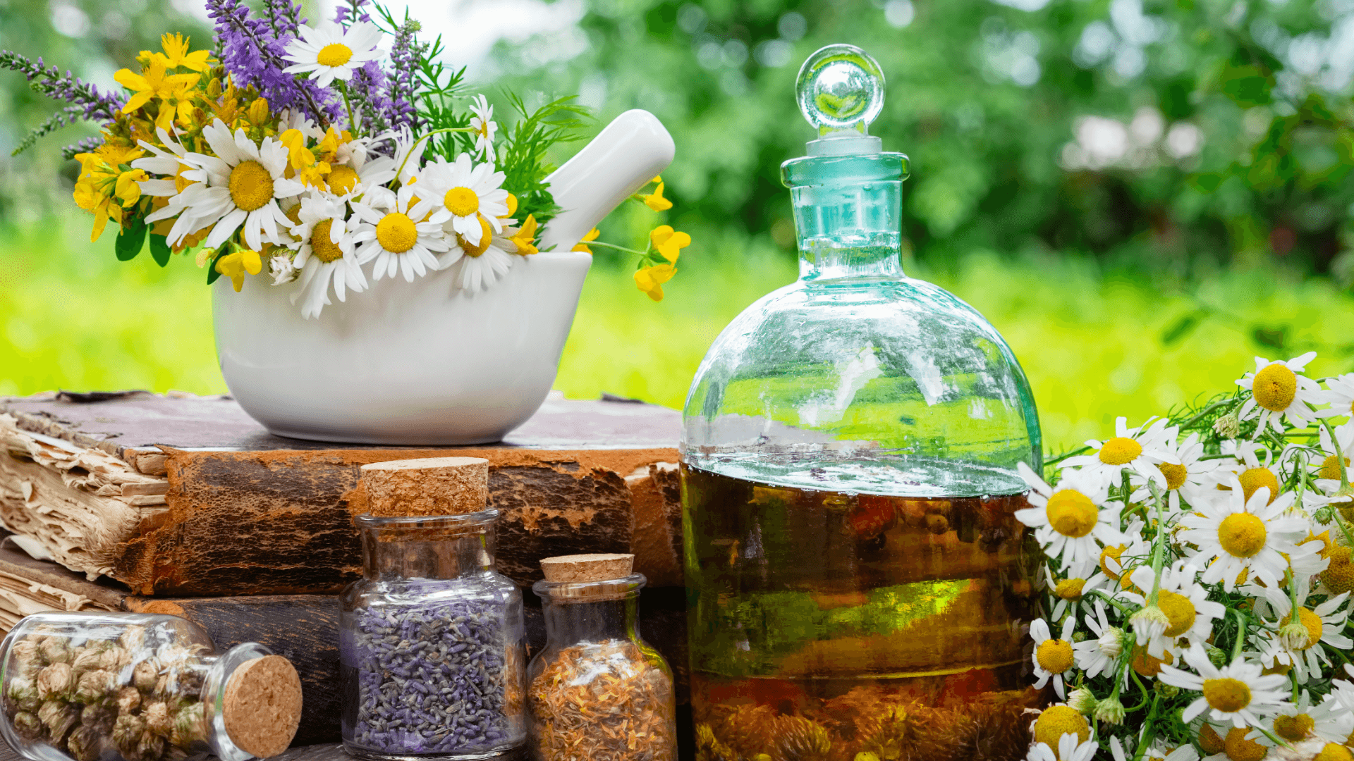 PLANTILLA IMAGEN DESTACADA CURSOS (10)