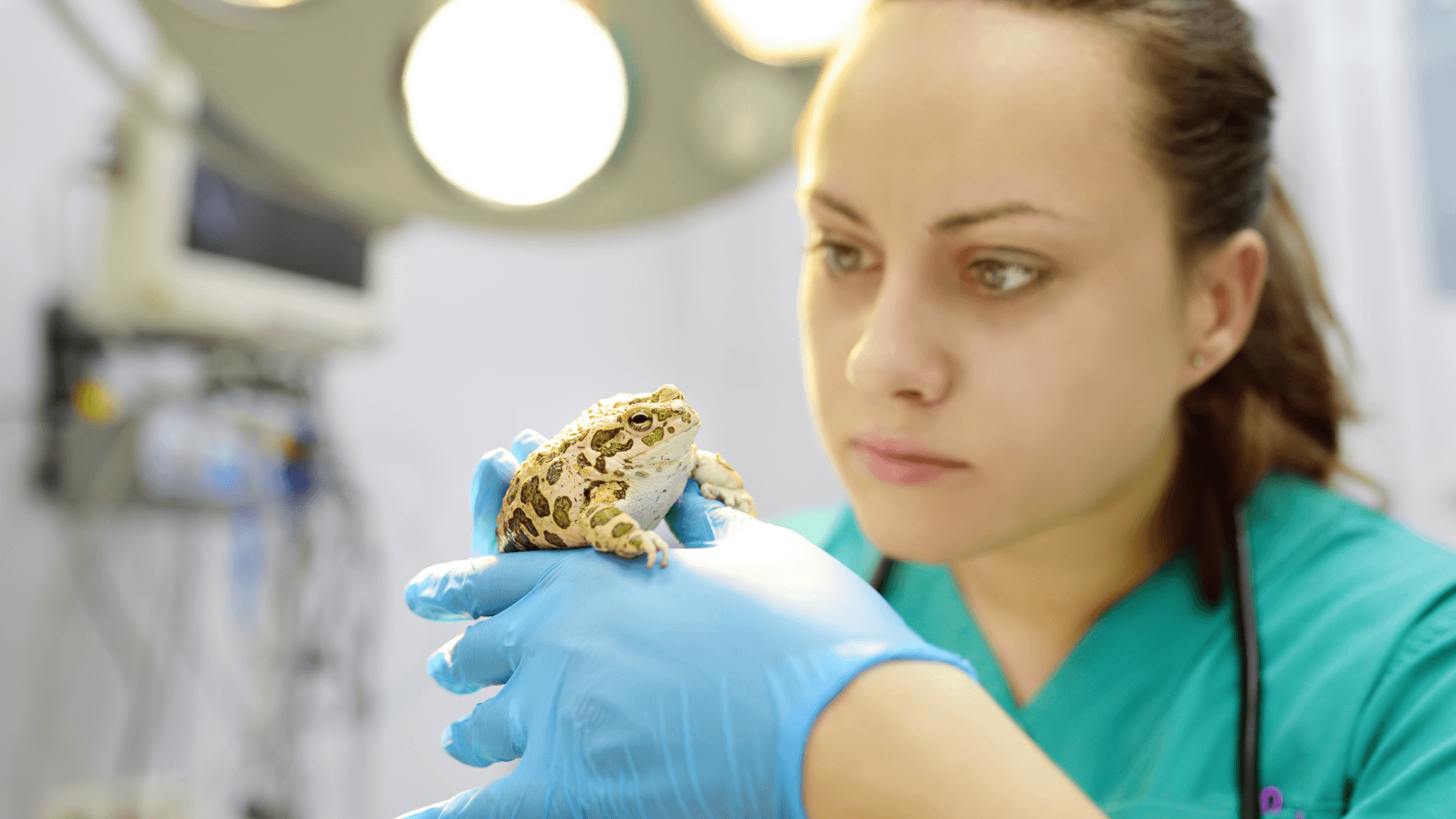 PLANTILLA IMAGEN DESTACADA CURSOS (14)