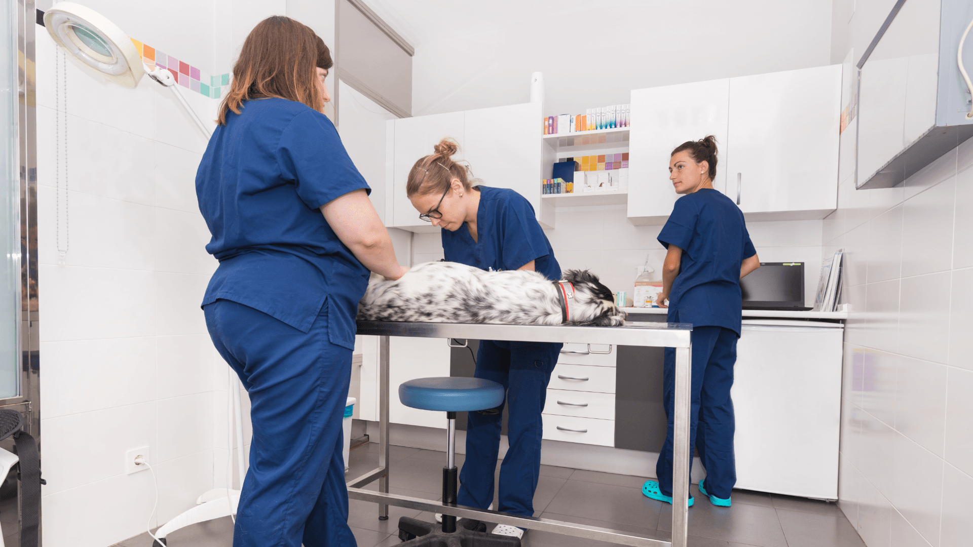 PLANTILLA IMAGEN DESTACADA CURSOS (20)