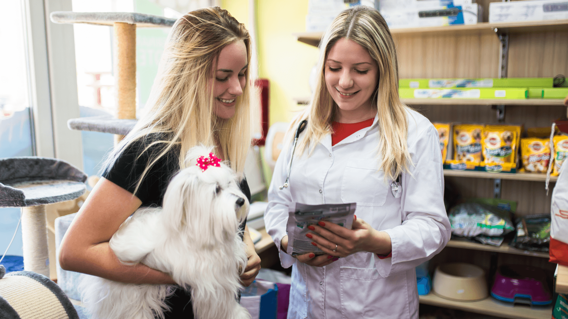 PLANTILLA IMAGEN DESTACADA CURSOS (1) PLANTILLA IMAGEN DESTACADA CURSOS (1)