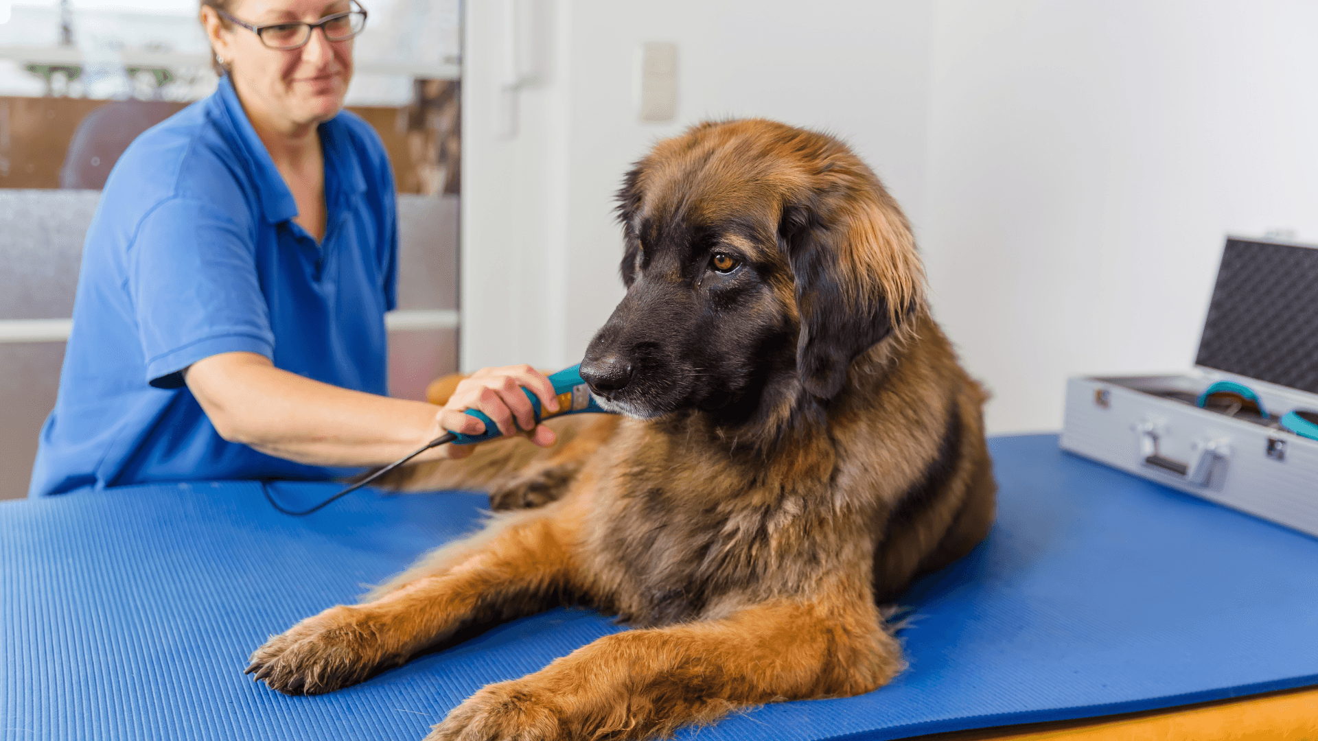 PLANTILLA IMAGEN DESTACADA CURSOS (2) PLANTILLA IMAGEN DESTACADA CURSOS (2)